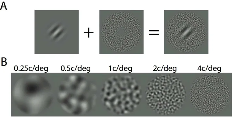 Figure 2: Example stimuli. Row A shows a Gabor patch, a windowed noise texture, and their sum. Row B shows example noise textures at each spatial frequency, as used in Experiment I.  