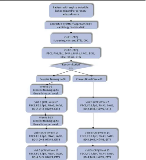 Figure 1 Flow diagram indicating participant’s involvement throughout the course of the study