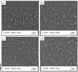 Figure 2 (c) have a finer microstructure compared to the vicinity of the middle of the part in Figure 