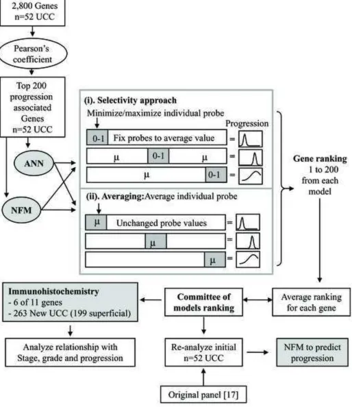 Figure 1Click here to download high resolution image