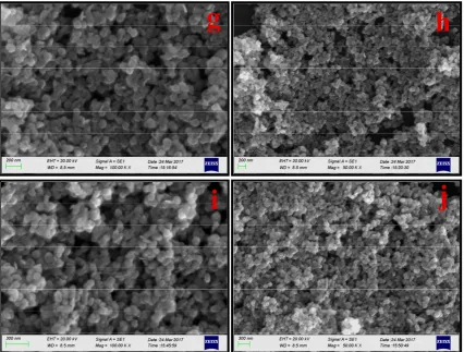 Figure 3 Scanning electron micrographs (SEM) of as-synthesized β-Co(OH)2 in the presence 
