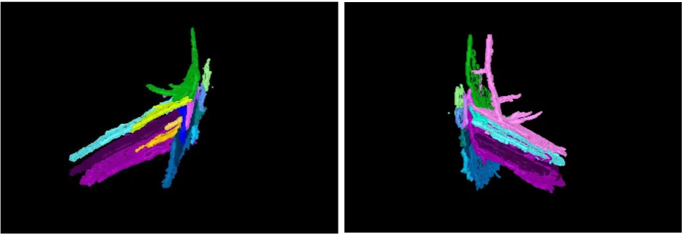 Figure 11. Different views of the dendrite of the phase Al11La3 in Al − La alloy. Differentcolors denote different connected components.
