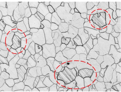 Figure 1. Examples of scratches produced by the serial sectioning technique.