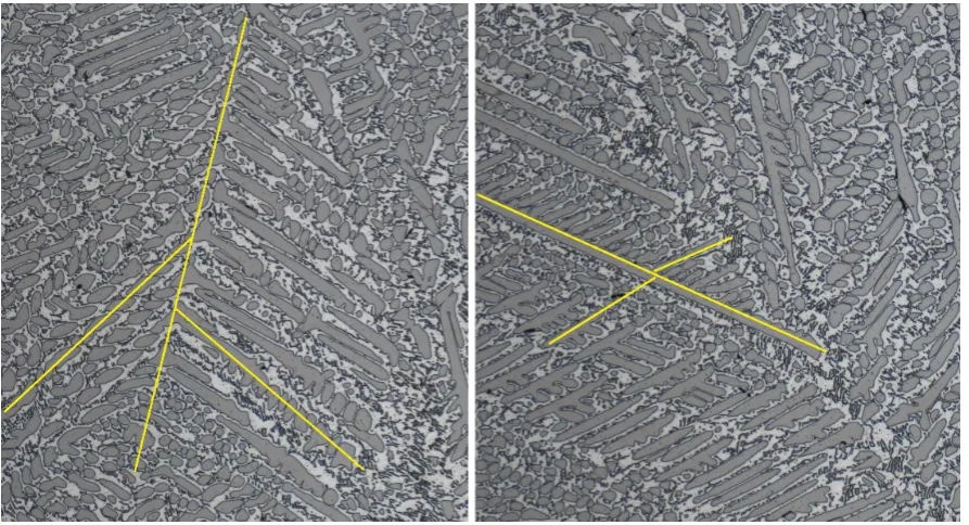 Figure 4. Images captured by optical microscopy at a magniﬁcation of 500×