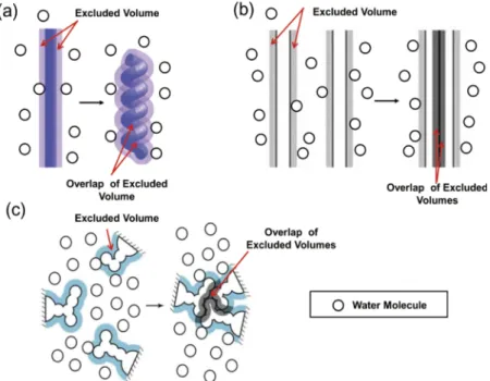 FIG. 1. (a) Formation of α-helix by a portion of the backbone. (b) Formation of β-sheet by portions of the backbone