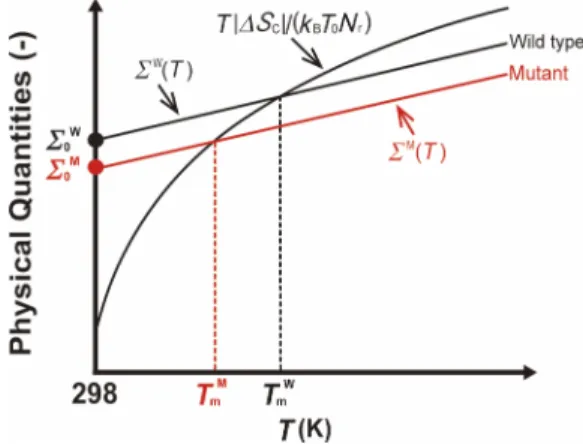 FIG. 2. Illustration of our physical picture for thermal stabilities of the wild type and a mutant of a protein