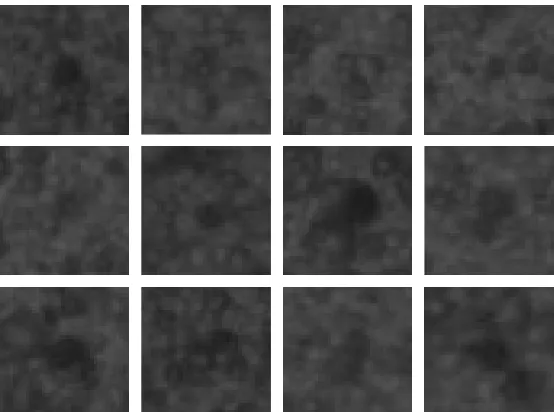 Figure 5: Twelve images taken from the training dataset in the example application. Thenetwork was trained to classify whether or not an image contained an etch pit.