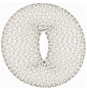 Figure 2. A wire frame rendering of a regular graph arranged as a torus (O'Sullivan