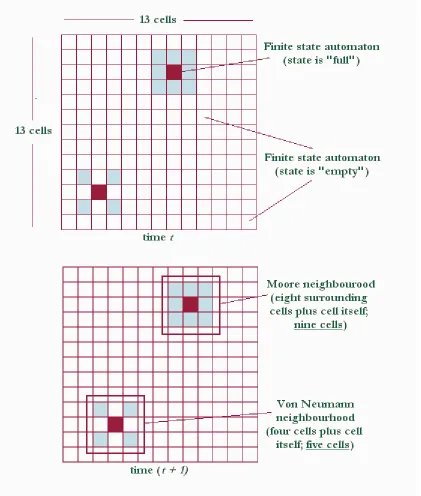 Figure 3. Two-dimensional cellular automata