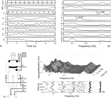 Fig. 2.(a) A sequence of time series measured simultaneously: ECG — electrical activity of theheart, HRV — heart rate variability obtained as instantaneous frequency of the heart beatdeﬁned by an R-R interval, P — blood pressure and F1-F4 — peripheral bloo