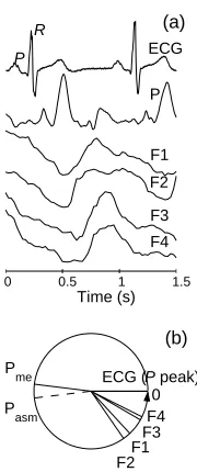 Fig. 4.Measured signals within one cardiaccycle (a) and the phase diﬀerence (b).