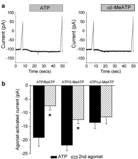 Fig. 2 Response to different P2X receptor agonists. Clamp potentialwas held at -100 mV