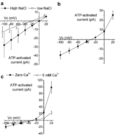 Fig. 6 Effect of divalent cations on GATP. Cells were clamped at-40 mV and then potential stepped to between ?20 and -100 mV in-20-mV steps