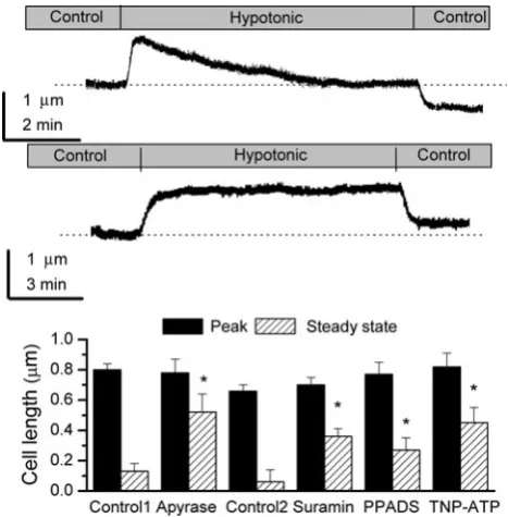 Table 1 Effect of extracellular
