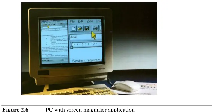 Figure 2.6PC with screen magnifier application