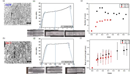 Figure 7 Observation of cracks by OM image (a-b), Stress-strain curve and stereo image (c-d), (e) number of cracks depending on strain and (d) mean of crack length depending on strain 