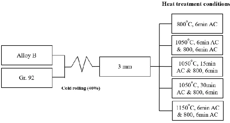 Figure 1 A schematic diagram of the experiment procedure. 