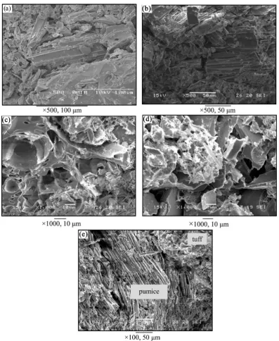 Figure 3. Secondary Electron Image (SEI) of fresh tuff ((a), (c)) and oxidized tuff ((b), (d)) indicating different pore charac-teristics; (e) shows the difference of pores between tuff and pumice in fresh part which are not visible in oxidized part