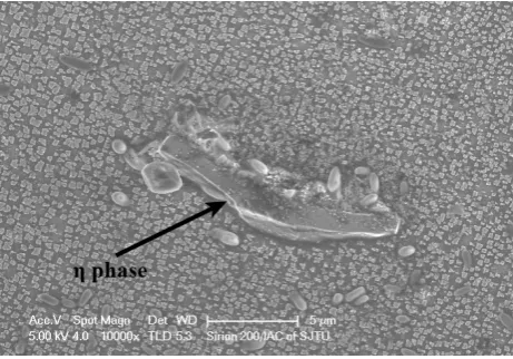 Fig. 5. Petal γ/γ′ eutectic phases in the interdendritic area of the DSC sample. 