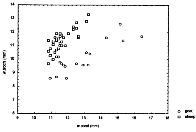 Table 8.10: Goat to Sheep Ratios of Metrically Separated 'Am Ghazal CapnneMetacarpal Condyles (see Figures 8.2 to 8.6), Compared with Mean Goatto Sheep Ratios of all POSACs Obtained in First Analysis (see Table 8.1)
