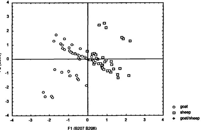 Figure 8.14: Factor Scores of Each Analysed Caprine Distal Metacarpal