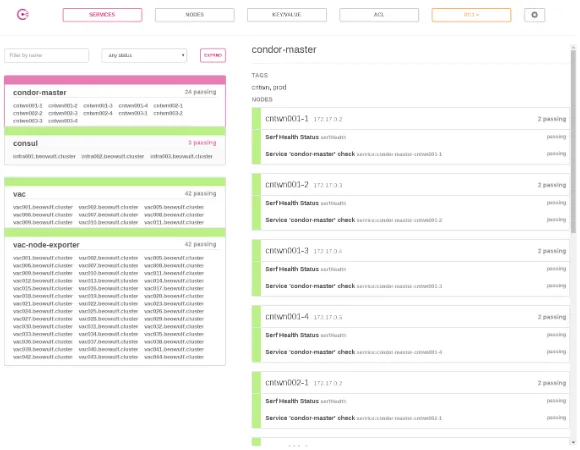 Figure 3. Service view of the Consul Web interface highlighting the registered condor-master services.