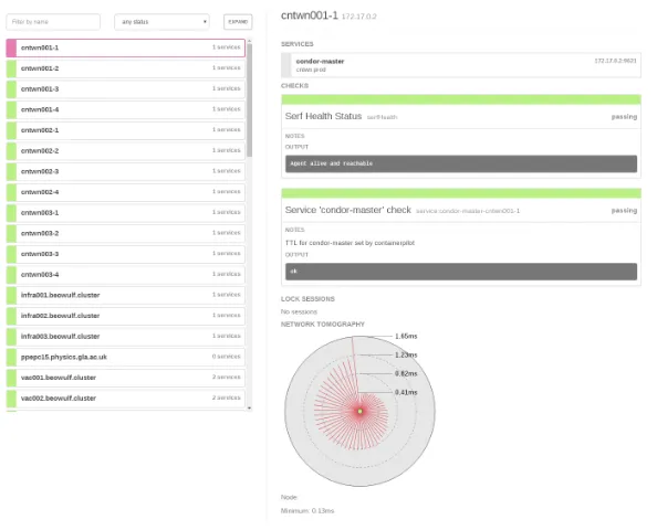 Figure 4. Consul’s view of a single worker node container, which shows the state of the health checks,and also a network tomography view.