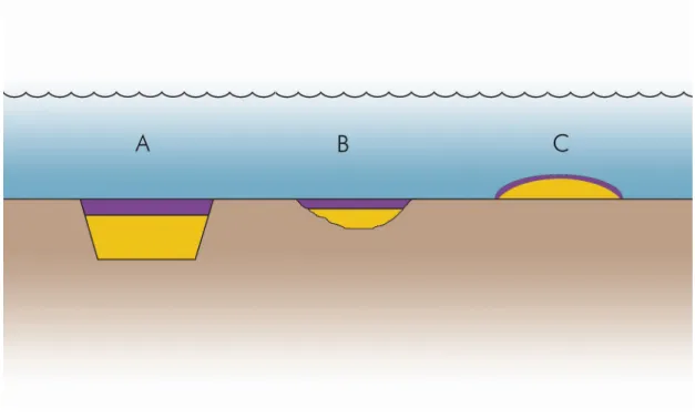 Figure 2: Schematic of confined aquatic disposal (CAD) cells. (A) Cell dredged to meet  specific project needs