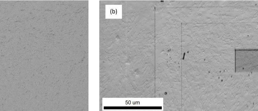 Figure 1 (a) shows image quality map of sample with zero percent inoculant. It clearly indicates that there is no crystallinity in material