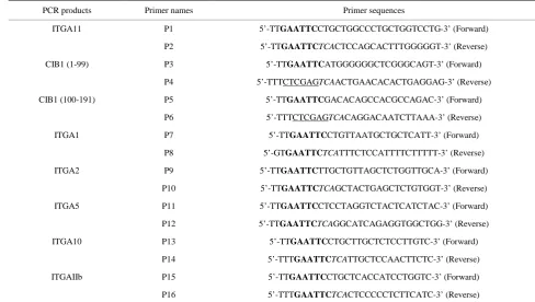 Table 1. Primers for generating PCR fragments used in two-hybrid assay. 