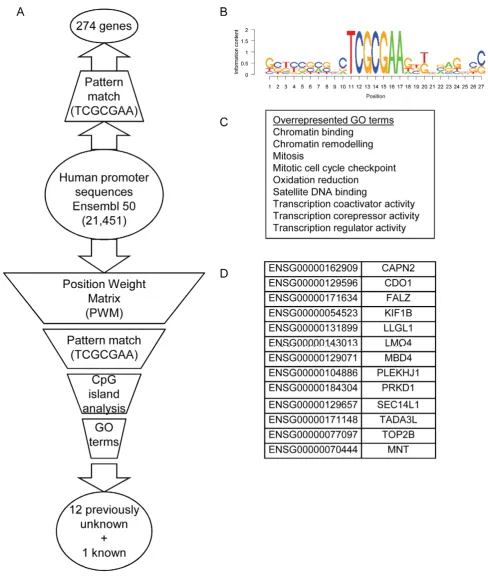 Figure 2. Identification of human promoters containing RpZRE3 core elements in the human genome