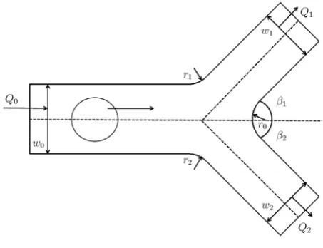 Figure 2. Bifurcation geometry. 
