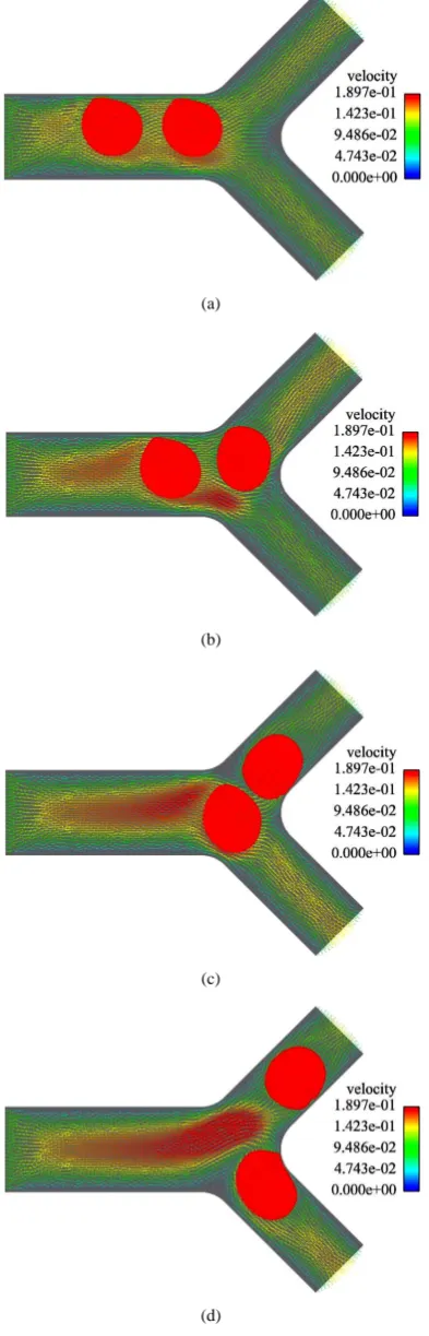 Figure 5. Two RBCs in a symmetric bifurcation. (a) t = 0.004 s; (b) t = 0.008 s; (c) t =0.012 s; (d) t = 0.018 s