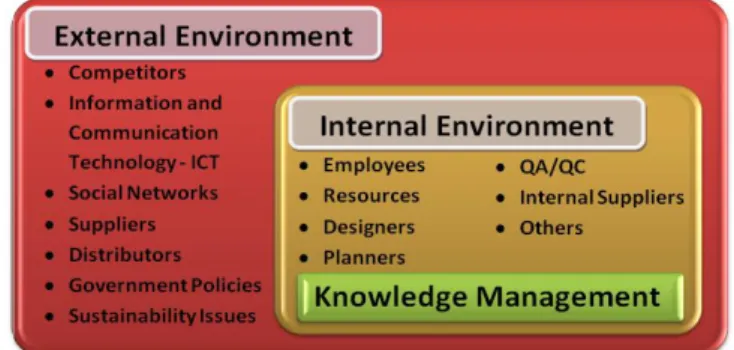 Figure 2:  The key elements of the internal and external environment