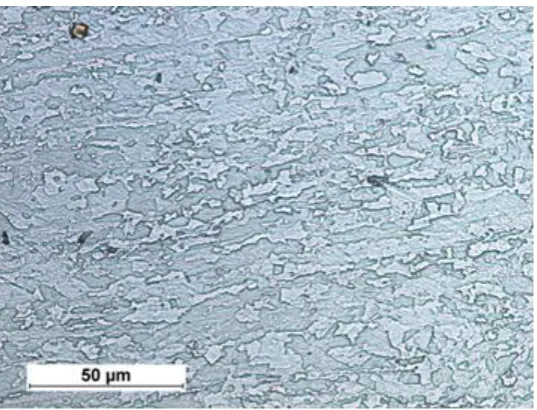 Fig.  1. Structure of bainitic-ferritic steel S700MC with visible effects of plastic deformation 