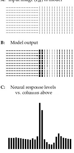 Figure 5: An example of the segmentation performance of the model. Aoutput fromBproportional to the corresponding bar output strengthes.: In-put���� consists of two regions; each visible bar has the same input strength.: Model output for A, showing non-uni