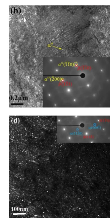 Figure 5. (a) Bright field image revealing continuous slip bands in the β matrix. (b) Dark field (DF) image showing the presence of stress-induced α'' martensite obtained using the reflection in dashed yellow circle in the inset (Zone axis: [1̅13]β‖[002]α'