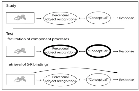 Figure 1.1.  At Study, the presentation of a visual object entails the recruitment of specific processes involved in the perceptual identification of the object as well as the extraction of particular (possibly semantic) task-relevant information prior to 