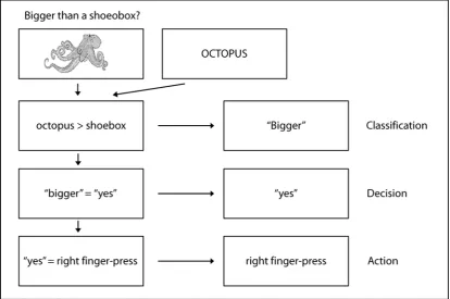 Figure 1.2.  Two possible levels of stimulus representation (“specific” and “abstract”) and three possible levels of response representation (Classification, Decision and Action)