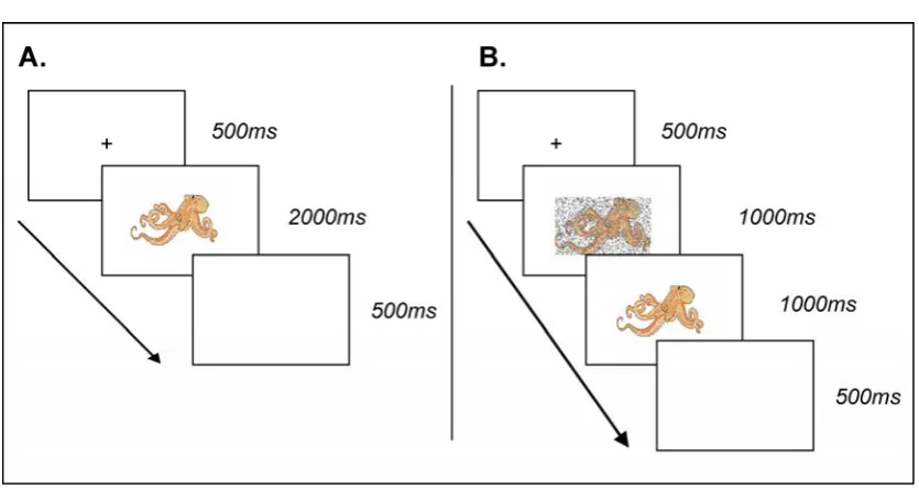 Figure 3.3.  Trial sequence for (A) Study presentations and (B) Test presentations in Experiment 6