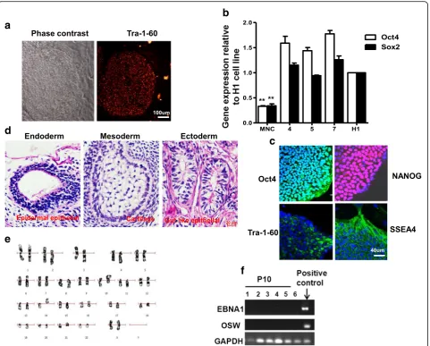 Fig. 4 Characterization of integration-free iPSCs from PB MNCs. a Representative TRA-1-60 staining photograph of integration-free iPSC colonyfrom PB MNCs