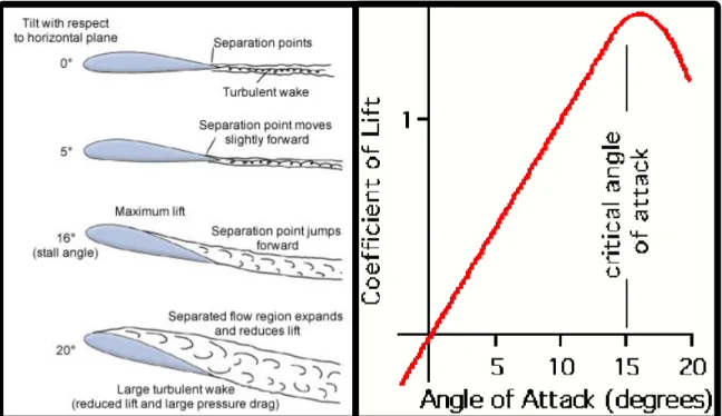 Figure 3 Example of flow separation causing thin airfoil stall [ 5 ]