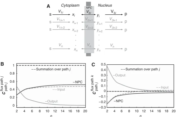 Figure 4Control properties of NPC transport in the case of excess competing processes