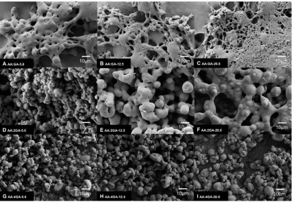 Figure 3. FE-SEM images of AA:GA-based microparticles for which employed from 5 g·L-1 to 