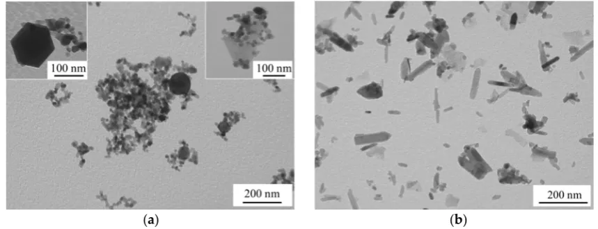 Table 1. Structural characteristics and specific surface area values of prepared samples