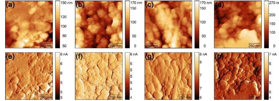 Figure 2. (a)-(d) Topography and (e)-(h) deflection signal (differential topography) of La1-xNdxFeO3 ceramics in dependence of Nd doping degree