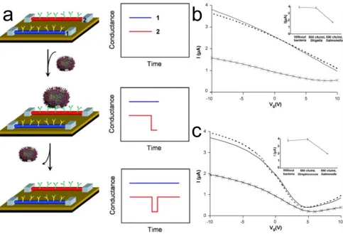 Figure 4. (a)Schematic illustration of the working principle of a CNT-bioFET. Only the CNT that are functionalized with the antibody receptor specific to the target virus can detect it, by producing a conductance change