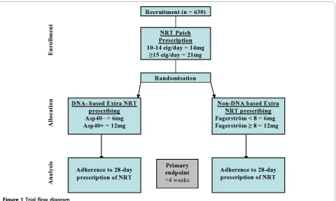 Figure 1 Trial flow diagram.