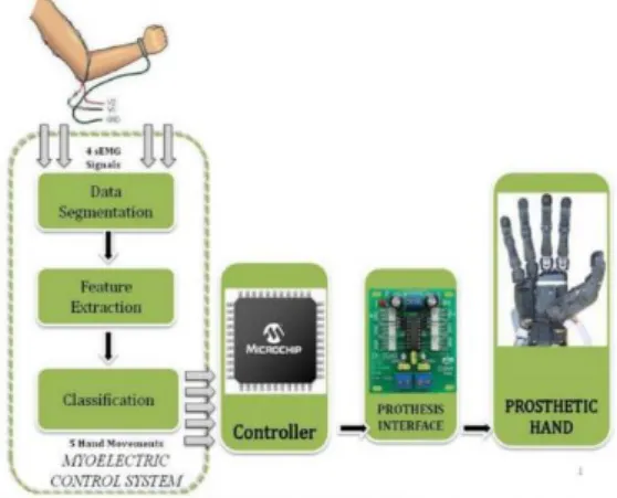 Fig. 2. Flowchart of EMG based finger classification  A  conductive  adhesive  reference  electrode  (Dermatrode  Reference Electrode) was used on the wrist of each subject