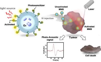 Figure 3 shows an MNB containing oxygen with a photosensitizer drug incorporated in the shell